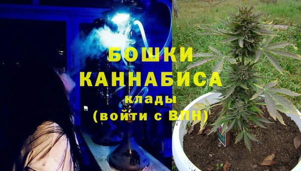 гидра Алексин