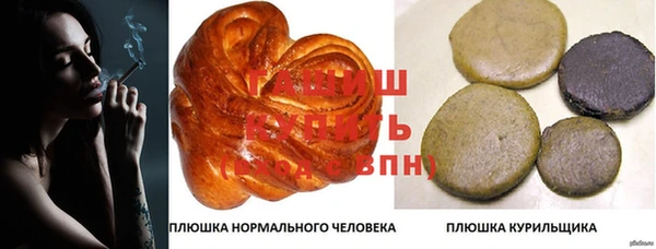 гидра Алексин