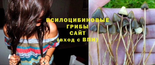 эйфоретик Алексеевка