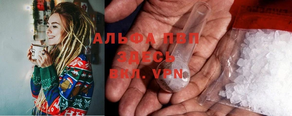 гидра Алексин
