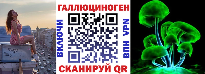 Псилоцибиновые грибы Psilocybe  Бирск 